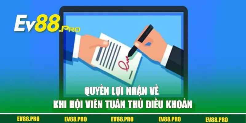 Quyền lợi nhận về khi hội viên tuân thủ điều khoản